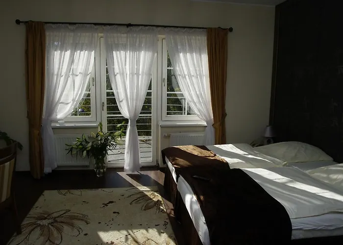 - Restauracja Zolty Guest house